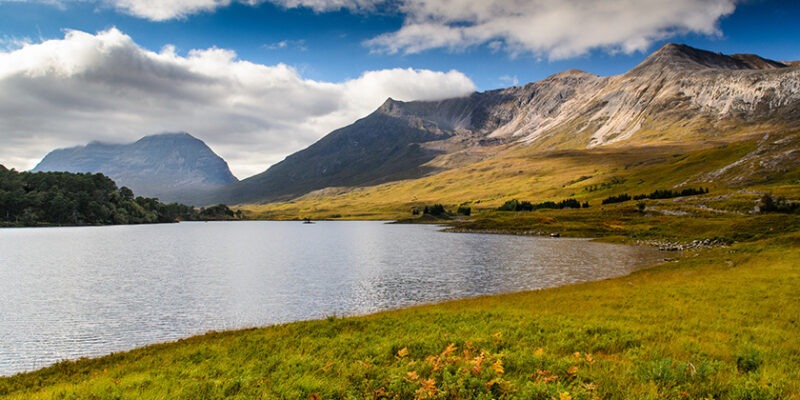 Six Things to Think About Before Expanding Your Rural Business